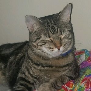 Meet your Posher, Aja